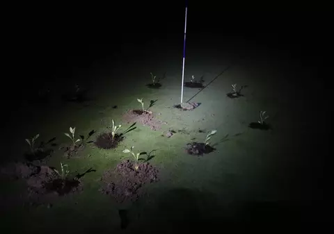 Activiștii pentru climă au umplut cu ciment găurile și au plantat răsaduri pe terenurile de golf din Spania