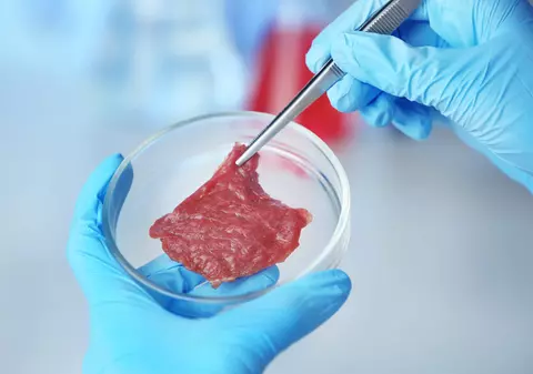 Mamut sau brontozaur la cuptor? Investiții de miliarde în cărnurile produse în laborator