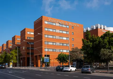 Copiii diasporei. O adolescentă cu părinții emigranți din Vaslui a obţinut cea mai mare notă la examenul pentru admiterea la facultate, în Spania