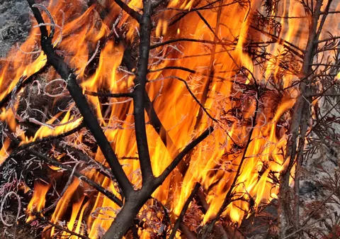 Un magazin dintr-o comună din județul Bacău a ars complet. Care a fost cauza incendiului