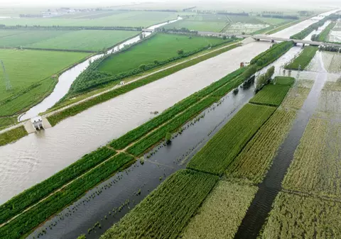 Îngrijorări privind securitatea alimentară a Chinei din cauza inundațiilor din principala regiune producătoare de cereale a țării