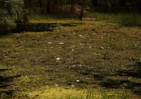 Măsurile dispuse de Garda de Mediu Tulcea, după ce Libertatea a scris că pe canalele din Lunca Dunării sunt mai multe gunoaie decât păsări