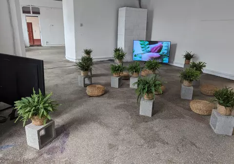 Expoziția care a stârnit un scandal în Timișoara. O asociație creștină i-a dat în judecată pe organizatori: „acte sexuale explicite cu plantele și aluzii la relații între persoane de același sex”