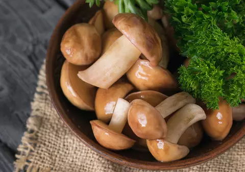 Reţete cu ciuperci champignon simple și gustoase