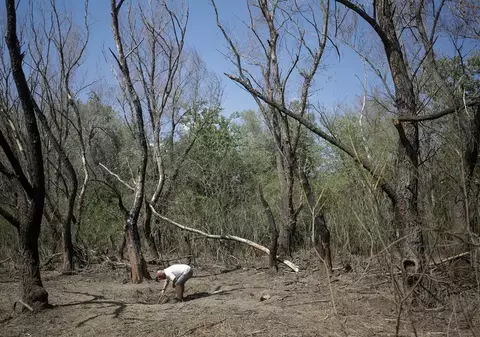 O altă dronă, căzută pe teritoriul României lângă malul drept al Brațului Chilia, anunță MApN: „Crater de dronă, cu posibilă explozie la impact”