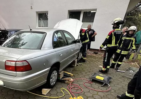 11 pompieri au demontat motorul unui Opel pentru a salva o pisică fără adăpost care rămăsese blocată în interior