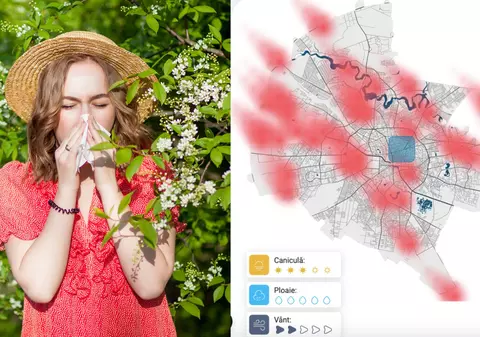 Harta intensității polenului de ambrozie din București. Cât de afectată este zona în care locuiești