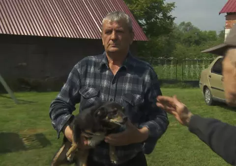 Ciapunio, un câine acuzat la televizor că a mâncat 100 de verze de la o fermă, primește susținerea polonezilor amuzați și revoltați