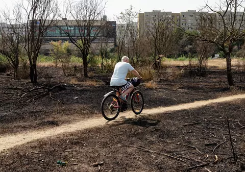 Revolta locuitorilor de lângă Parcul IOR care arde, iar copacii se usucă în mod misterios, sub ochii autorităților: „Ne credeți proști, domnule primar?”