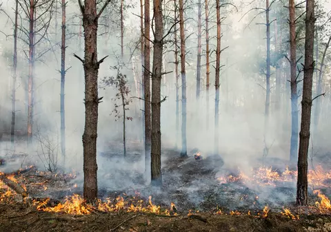 Pământul devine tot mai nesigur pentru omenire, arată prima „verificare științifică completă a stării de sănătate” a planetei