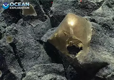 „Ou de aur” misterios descoperit la 3,2 km adâncime, pe fundul Oceanului Pacific, în Golful Alaska: „Ca începutul unui film de groază”