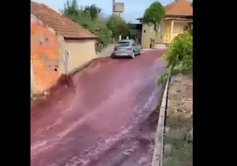 Străzile unui sat din Portugalia, inundate de un "torent" de vin roșu. VIDEO