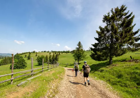 Experiența unui scriitor britanic care a revenit după mai mulți ani în România și a străbătut Via Transilvanica. „O felie de viață rurală atemporală”