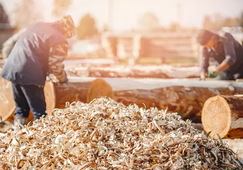 Ce poţi să faci cu rumeguşul