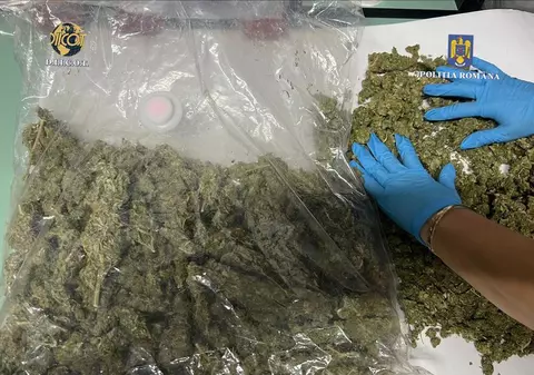 Un bărbat din Satu Mare și-a ascuns canabisul în pereții casei sale. Cum a fost prins