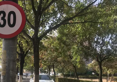 Un necunoscut a schimbat indicatorul de limitare de viteză, de la 50 la 30 km/ h. Poliția germană a dat zeci de amenzi și a reținut mai multe permise, până și-a dat seama