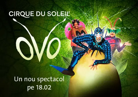 OVO – spectaculosul Cirque du Soleil – vine în București! Pavilionul A - ROMEXPO, ROMÂNIA │ 15-18 februarie 2024