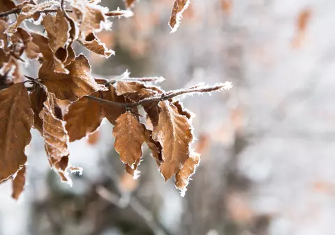 Minus 10 grade Celsius, joi dimineață, la Miercurea-Ciuc. Anunțul meteorologilor pentru următoarele zile