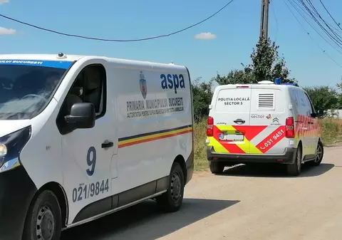 ASPA: Aproape jumătate din câinii capturaţi în Bucureşti provin din sectoarele 5 şi 6