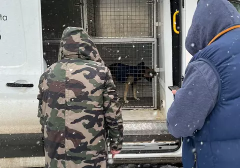 Un om fără adăpost a cerut ajutor pentru el și câinele lui din cauza viscolului. Cum au reacționat polițiștii din Constanța