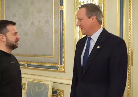 David Cameron i-a promis lui Zelenski la Kiev continuarea sprijinului militar din partea Marii Britanii
