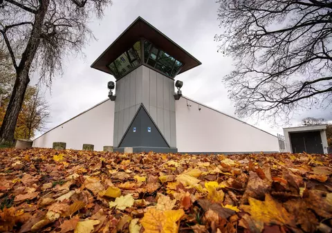 Un român a anunțat că soția lui a dispărut într-un oraș din Germania, polițiștii au căutat-o și au găsit-o la închisoare. Apoi l-au arestat și pe el