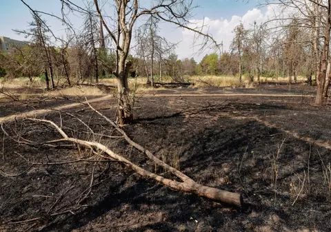 Amenda de 35 milioane de euro pentru proprietarii terenului retrocedat din Parcul IOR a fost contestată