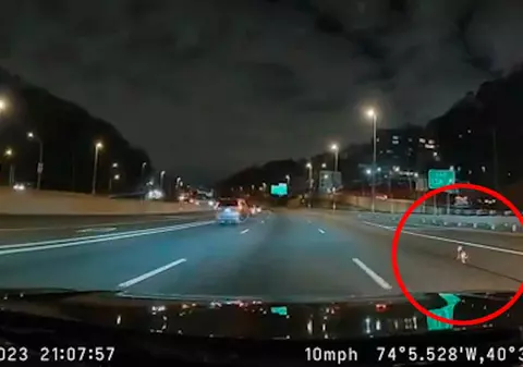 Un cățel chihuahua a provocat haos pe autostradă în New York. Șoferii au oprit, micuțul a fost salvat | VIDEO