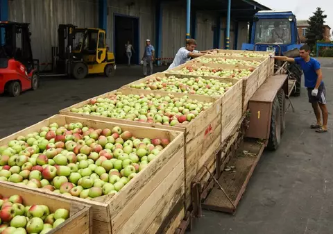 Rusia interzice importurile de legume și fructe din Republica Moldova: „Pot provoca daune de mai multe miliarde de dolari producției agricole a Federației Ruse”