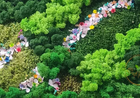 Craft for Joy: Decorațiuni naturale pentru un spațiu plin de sănătate și productivitate