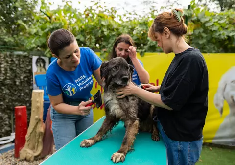 Organizații caritabile și mediu: milioane de lei și mii de ore de voluntariat în folosul comunităților