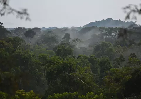Cele mai vechi oraşe amazoniene, construite acum 2.500 de ani, descoperite cu ajutorul cartografierii cu laser. „Oamenii din Amazonia au construit cu noroi”
