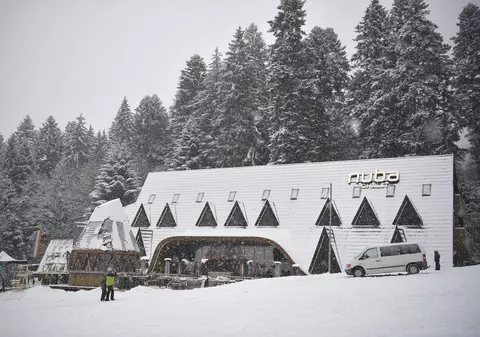 Cod galben de viscol și vânt puternic în mai bine de jumătate de țară. Care sunt zonele vizate și cum va fi vremea la București