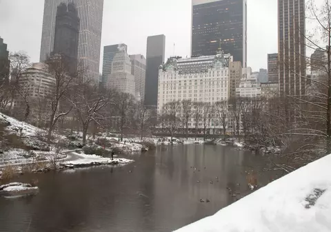 SUA, lovite de un front arctic care a adus temperaturi de minus 36 de grade Celsius. La New York a nins, după doi ani de pauză | VIDEO