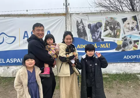 Un căţel din adăpostul ASPA Bragadiru, adoptat de o familie de japonezi. Primarul Capitalei: Peste 1.300 de căţei au fost adoptaţi anul trecut