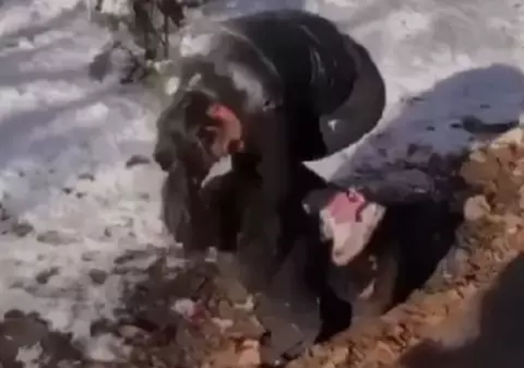 Mama unei adolescente, după ce fiica ei a fost agresată: „Vă rog să găsiţi această fată din Ploieşti care mi-a bătut fata”. Reacţia Poliţiei