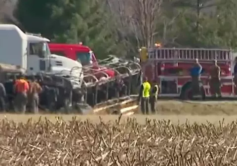 Trei copii mici, între cei cinci morți din accidentul cu un autobuz școlar care a intrat pe contrasens, s-a lovit de un camion și a luat foc, în Illinois