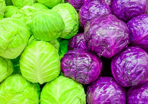 Care este diferenţa dintre varză albă şi varză roşie