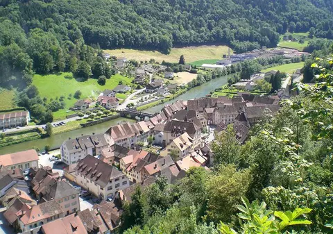 Motivul pentru care un francez nu primește cetățenia elvețiană: „Își tunde gazonul de sărbătorile legale”