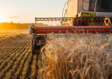 Afaceri agricole profitabile: De la idee la realitate