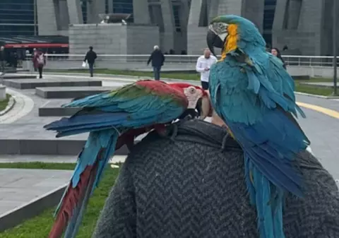 Un turc a venit cu papagalii ca martori în procesul de divorț. Ce propoziție repetau întruna