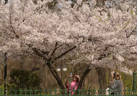 Cum va fi vremea de Paște. Prognoza meteo pentru următoarele patru săptămâni