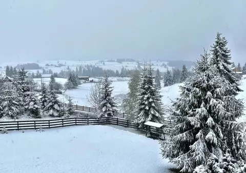 Iarna s-a întors în România: zăpadă în mai multe zone ale țării. Ce se anunță în continuare