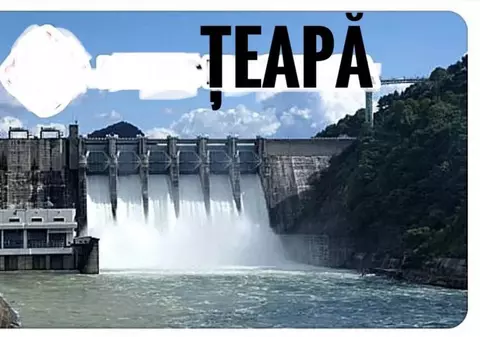 Avertismentul Poliţiei Române privind ofertele de investiții înşelătoare de pe internet: „Când, la final, primeşti doar apă pentru flori, înseamnă că ai fost… păcălit”