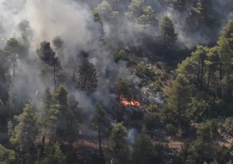 Alertă de incendii în Grecia. În doar 12 ore au izbucnit 71 de focare din cauza vântului puternic. Zonele afectate