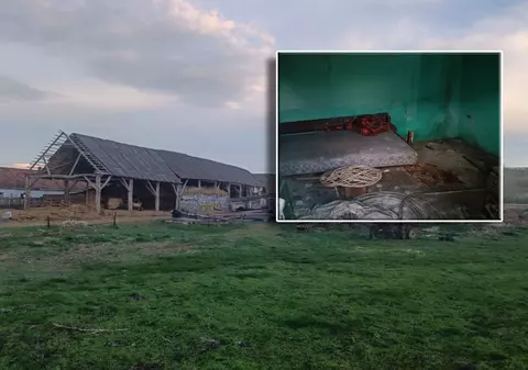 Copil ținut într-o cuşcă, bătut și obligat să muncească la o stână din Braşov, timp de patru ani. FOTO