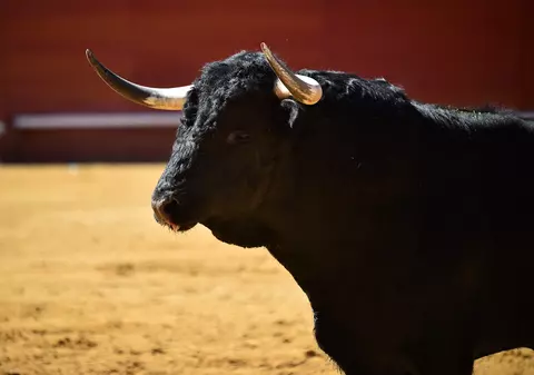 Columbia interzice luptele cu tauri începând cu 2027: „Am făcut un pas înainte istoric"