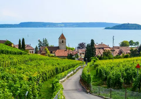 Elvețian atacat de o pasăre de pradă, în timp ce făcea jogging: „A venit din spate de mai multe ori”. Ce spun experții