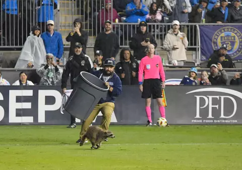 Un raton pătruns pe teren la un meci de fotbal din SUA a fost alergat și prins de angajați cu ajutorul unui coș de gunoi | VIDEO