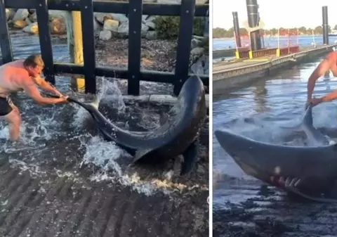 „Aquaman” din Australia. Un bărbat a salvat cu mâinile goale un rechin care se prinsese în firele undițelor sale | VIDEO